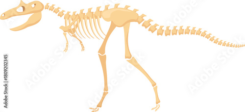 Dinosaur skeleton fossil illustration showing prehistoric animal anatomy