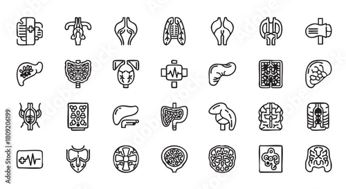 Human organ vector icons line art for medical design resources