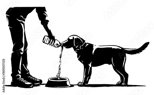 Man pouring water for thirsty dog illustration