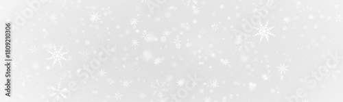Snow. Realistic snow overlay background. Snowfall, snowflakes in different shapes and forms. Snowfall isolated on transparent background |Png 
