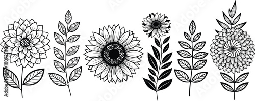 Hand drawn floral set, black and white flowers, doodle leaves, botanical illustration for coloring book, decorative art, tattoo design element.