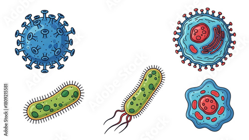 Diverse Microorganism Set Viruses, Bacteria, and Cells