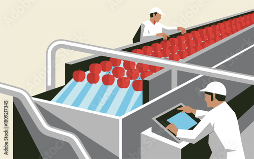 Automated sorting and washing of fresh produce in a modern food processing facility