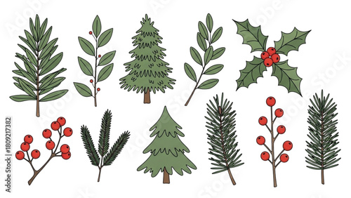 A festive collection of hand-drawn Christmas greenery, including pine trees, holly, and winter berries