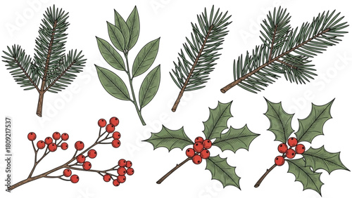 A festive collection of hand-drawn winter botanicals including pine, holly, and berries