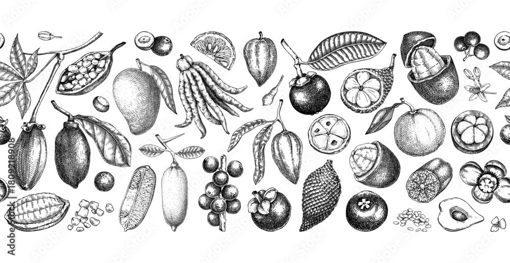 Fototapeta premium Exotic fruit border design. Tropical plants hand drawn vector illustration. Healthy food background. NOT AI generated