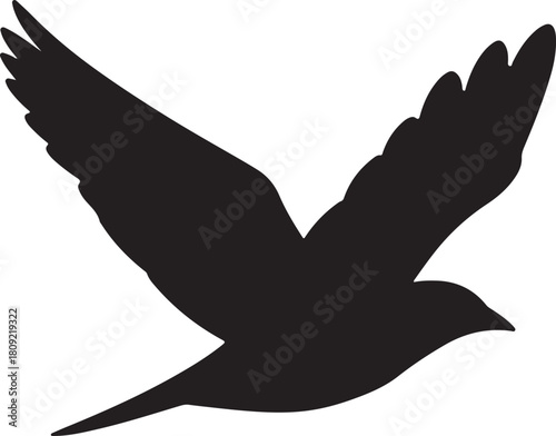 Abstract geometric design with bold colors and text elements