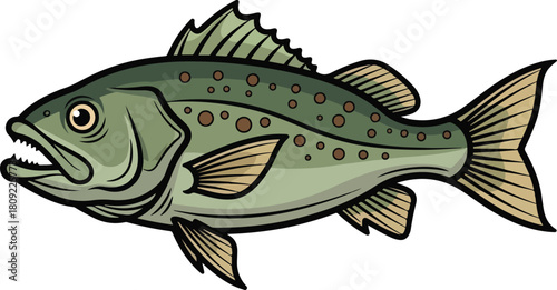 Detailed illustration of a largemouth bass fish with open mouth and sharp teeth.