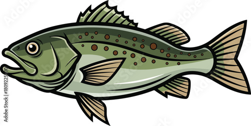 Detailed illustration of a largemouth bass fish showcasing its features and vibrant colors.