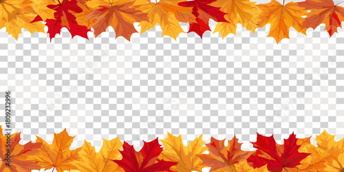 Autumn maple leaves border frame with transparent background