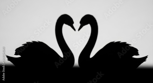 Fototapeta Naklejka Na Ścianę i Meble -  Silhouettes of swans forming heart shape against white background