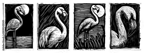 Flamingo Portrait Set with Elegant Birds in Vintage Engraving Style