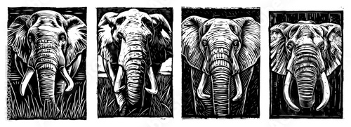 Elephant Portrait Set with African Wildlife Safari Animal Illustration