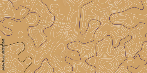colorful Topographic map patterns, topography line map. Vintage outdoors style. tradition and celebration concept digitally generated