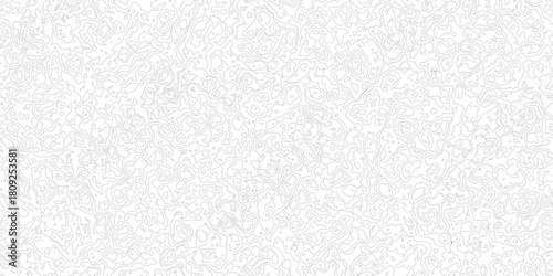 Topographic map backdrop. Conditional geography scheme and the terrain path. Contour line abstract background.  Concept of technology, science. Wallpaper. Pattern.