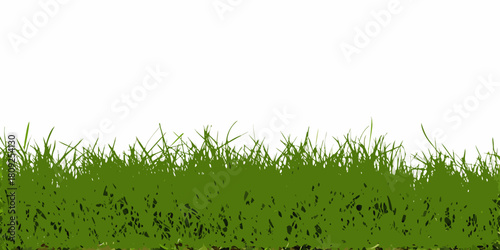 Lush green grass border on white background for spring and summer designs