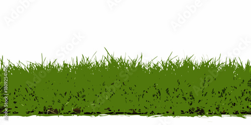 Green grass vector illustration on white background for design elements