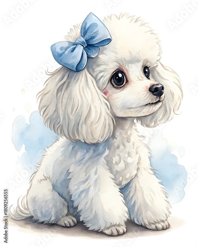 Adorable white poodle puppy with a blue bow sitting on a white background