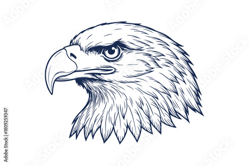 Majestic bald eagle head illustration with sharp gaze
