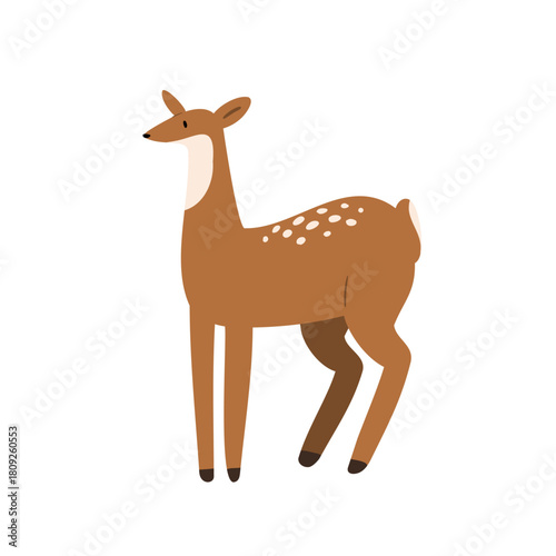 Illustration of young fawn in forest scene. Gentle animal and woodland creature stands in nature. Young beast and graceful mammal. Flat vector art.