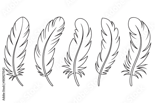 Minimal feather collection single line art illustration on white background
