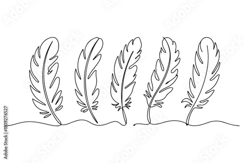 Minimal feather collection single line art illustration on white background
