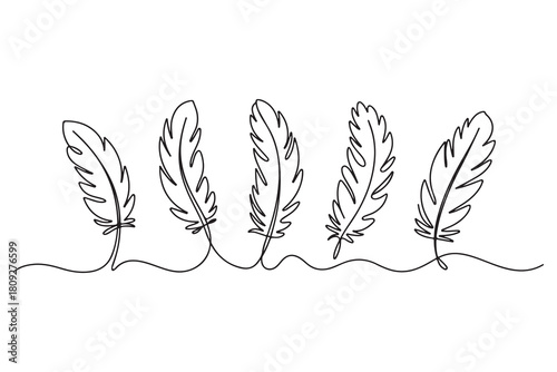 Minimal feather collection single line art illustration on white background
