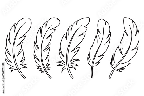 Minimal feather collection single line art illustration on white background
