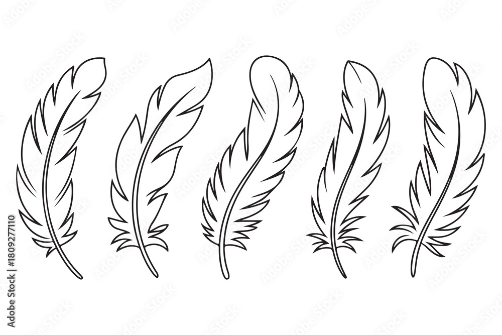 Obraz premium Minimal feather collection single line art illustration on white background 