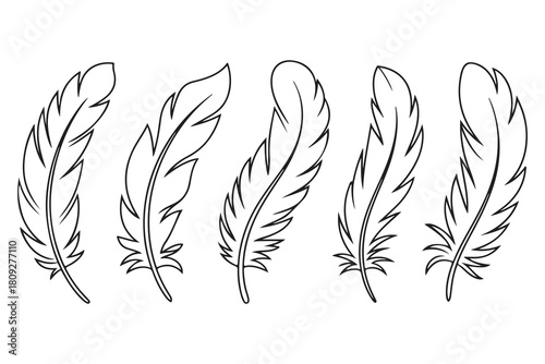 Minimal feather collection single line art illustration on white background
