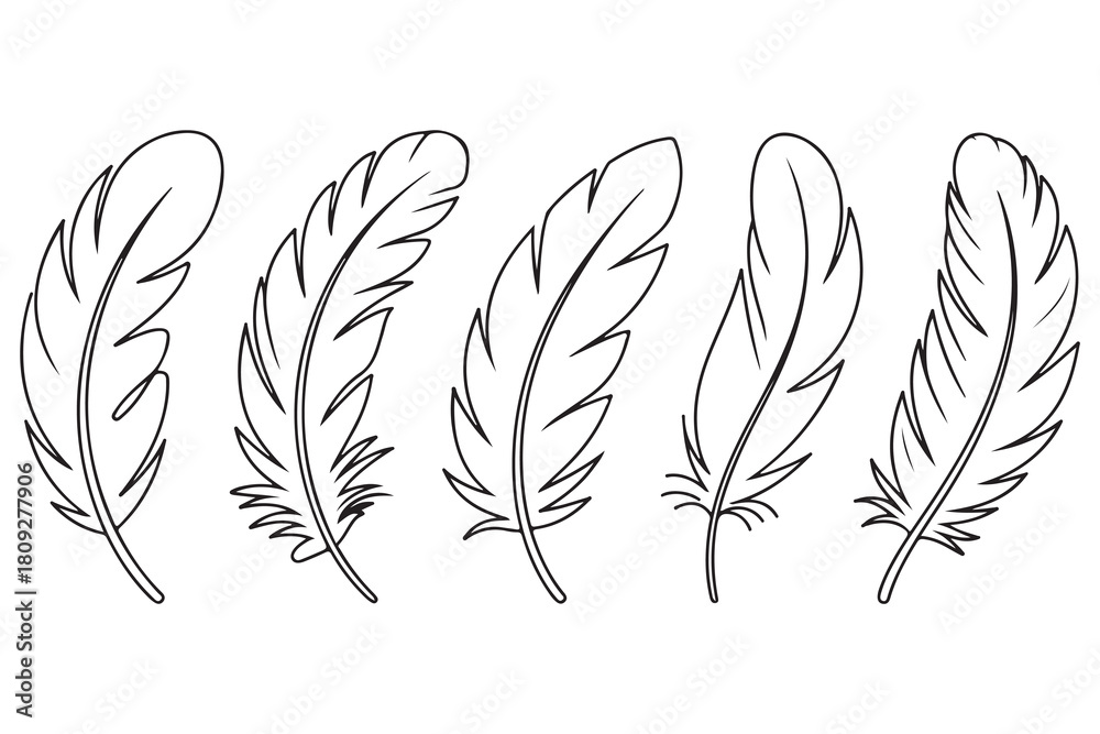 Obraz premium Minimal feather collection single line art illustration on white background 