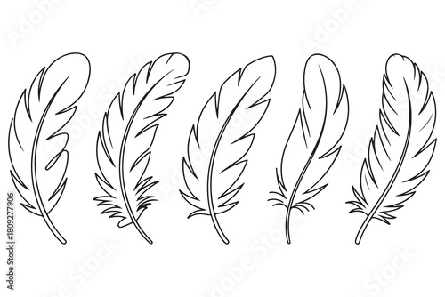 Minimal feather collection single line art illustration on white background
