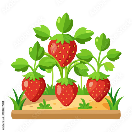 Vector garden isolated on a white background. Illustration of mature growing strawberries in the garden on the bed. Strawberry icon on the garden bed for gardening or farm.