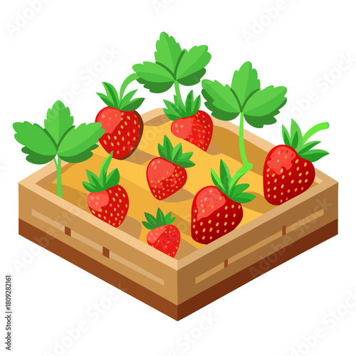 Vector garden isolated on a white background. Illustration of mature growing strawberries in the garden on the bed. Strawberry icon on the garden bed for gardening or farm.