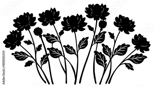 Elegant floral arrangement featuring a silhouette of blooming chrysanthemums against a white backdrop creating a sophisticated and timeless botanical design element