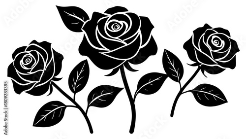 Elegant black and white rose illustration featuring three blooming roses with detailed petals and leaves perfect for wedding invitations or romantic designs offering a classic floral touch