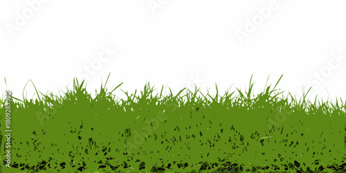Lush green grass vector illustration on white background for design element
