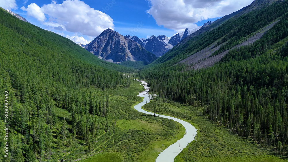 Fototapeta premium The Shavla River in the Altai Mountains in summer, as seen from a drone