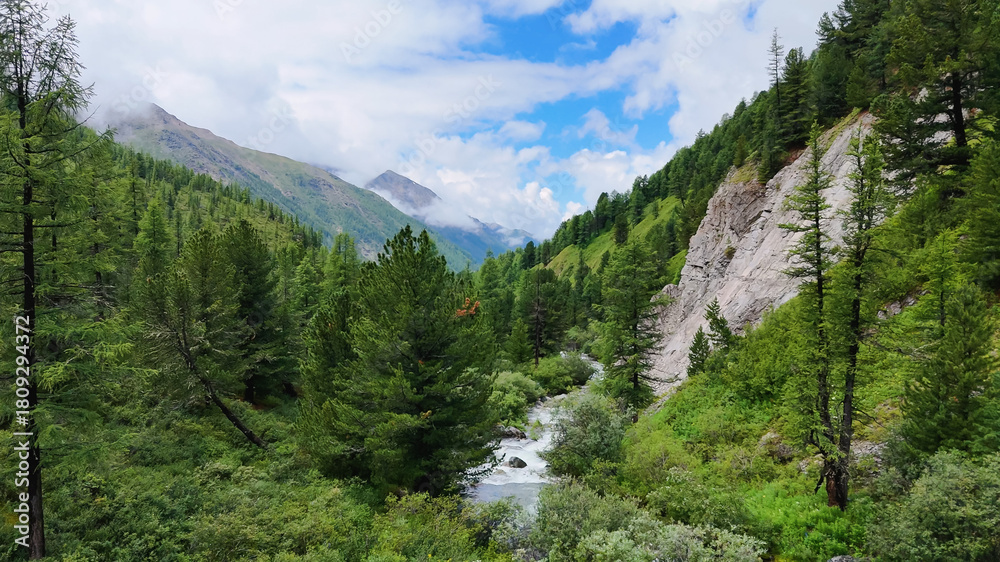 Fototapeta premium The Shavla River in the Altai Mountains in summer, as seen from a drone