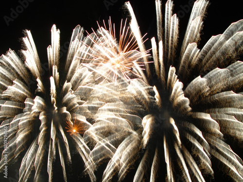 Obraz na płótnie Fireworks San Gionavi 2012