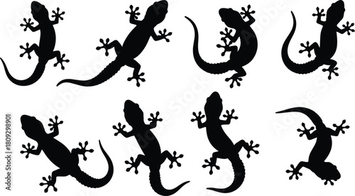 Black gecko lizard silhouettes set isolated on white background, reptile animal illustration collection for wildlife nature design, decoration, graphic art projects