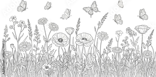 Detailed line art of a vibrant meadow with various wildflowers, tall grasses, and butterflies gracefully fluttering above, perfect for coloring.