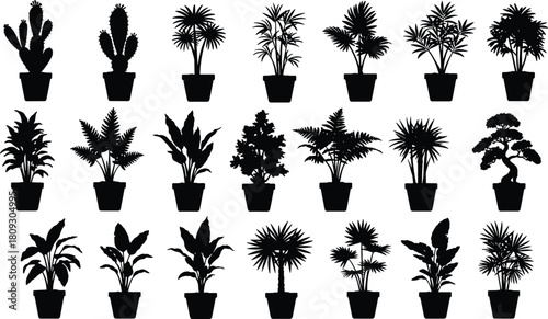 Black potted plant silhouette, cactus vector, succulent outline, tropical leaves, bonsai tree, indoor foliage, botanical illustration, decorative shapes, houseplant art