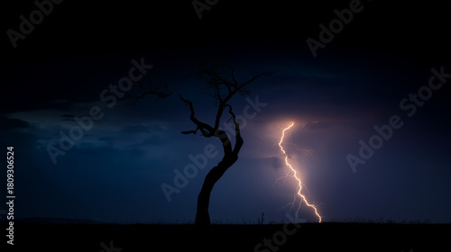 bent. A lone gnarled tree silhouetted against a stormy sky with lightning. travel magazines, destination branding, designed for outdoor magazines and nature guides and travel destination branding.