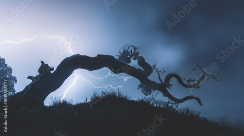 bent. A lone gnarled tree silhouetted against a stormy sky with lightning. travel magazines, destination branding, designed for outdoor magazines and nature guides and travel destination branding.
