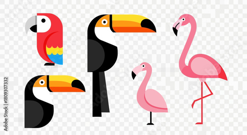 Colorful Tropical Birds Vector Graphic Illustration Featuring Toucans Parrots and Flamingos