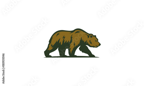 brown bear vector