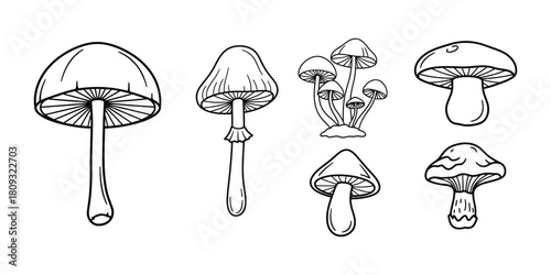 Mushroom line art icon vector illustration