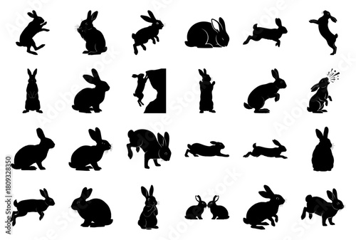 Rabbit and Bunny Silhouette Vector Collection: Diverse Poses and Actions