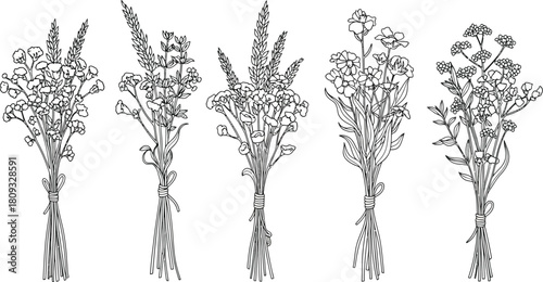 A collection of delicate hand drawn floral bouquets in a linear style